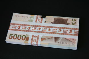 只借钱2000元,本篇归档五款对借钱不还的人怎样说