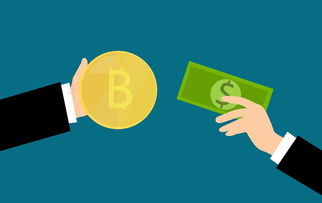 无视一切下款1500,本篇归档十款不查信用的贷款平台