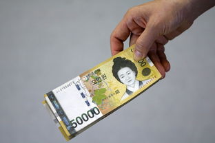什么软件20岁可以借款,专业概括十款18岁小额贷款1000元秒下款
